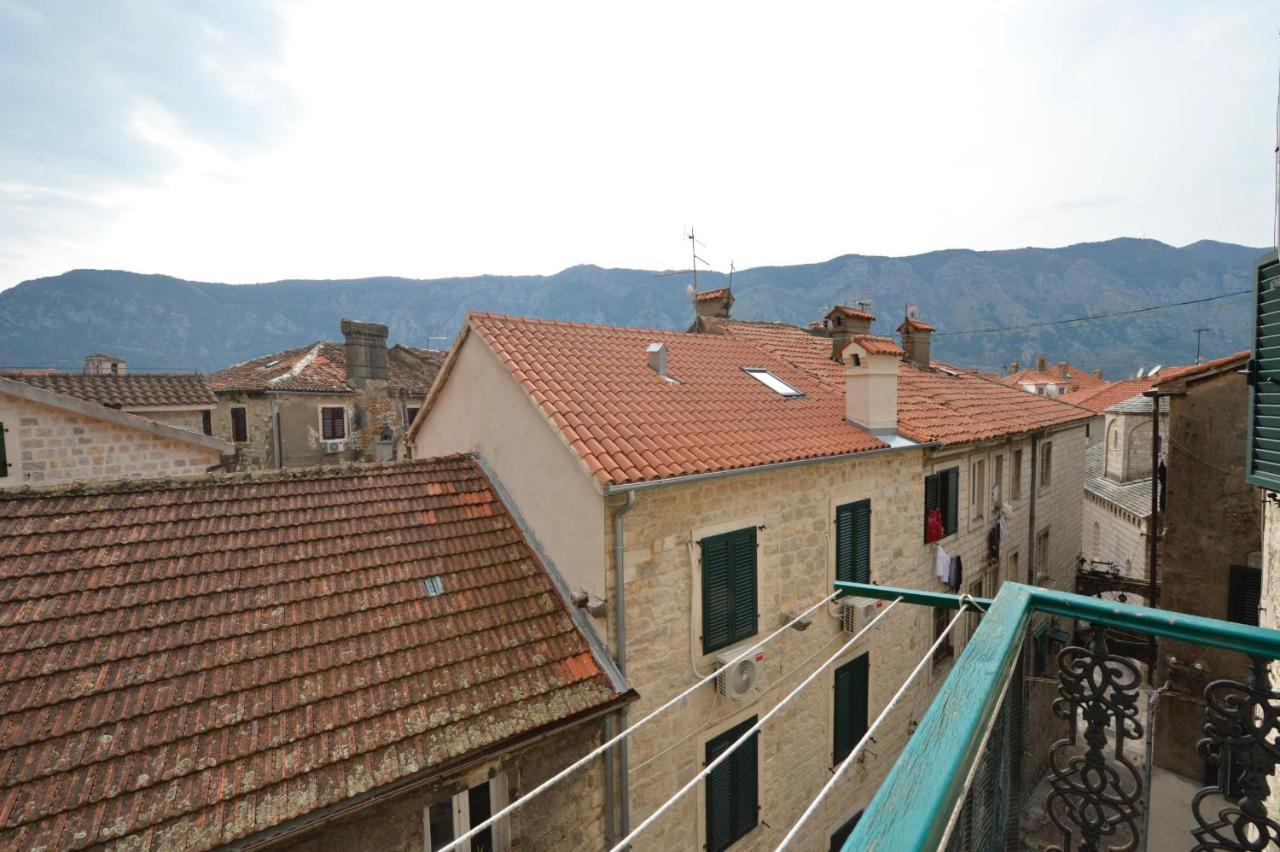 Sofija Kotor